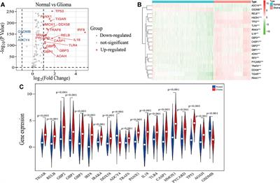 A Novel Defined Pyroptosis-Related Gene Signature for Predicting Prognosis and Treatment of Glioma